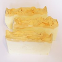 Andrea's Lotions and Potions Vegan Soap
